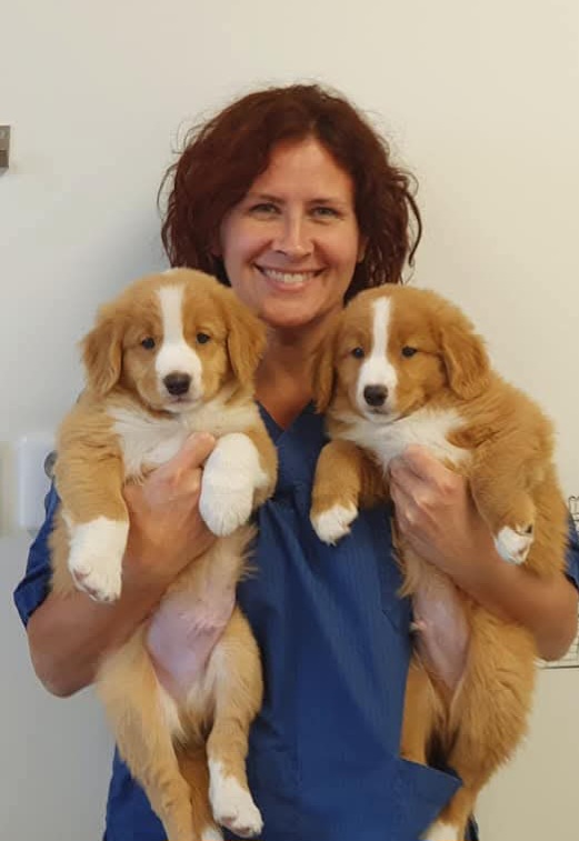 Anna Boikova-karlshamns-smadjurs-klinik-veterinar