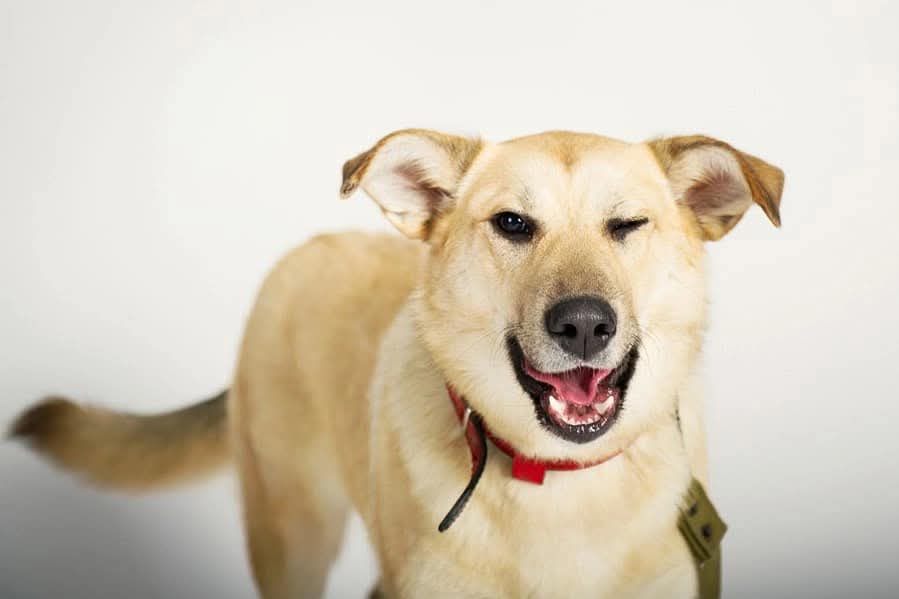 FB_IMG_1751534618400